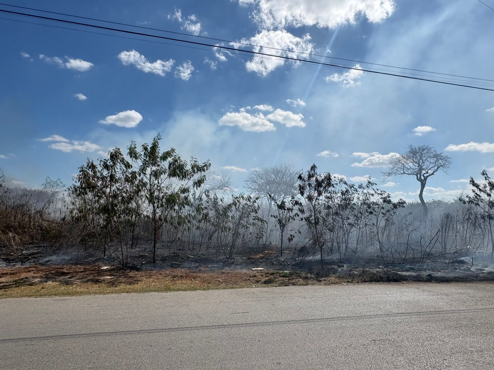 Oportuno control de incendio de basurero clandestino en la Reserva Cuxtal